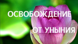 Раскодирование Сознания. Освобождение от кодов уныния