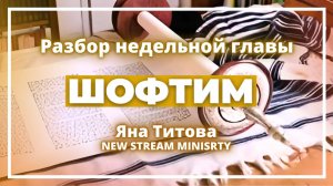 Недельный разбор Торы ШОФТИМ Яна Титова NSM