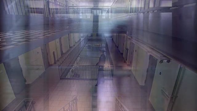 Зоопарк. Владимир Чиж смотреть онлайн