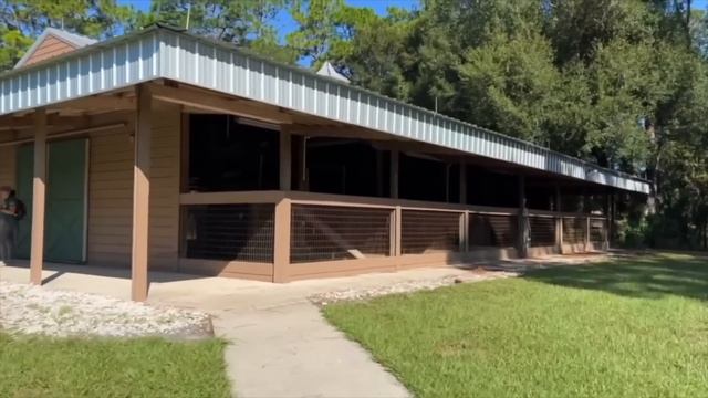 Бесплатный лагерь для диабетиков в США #влог смотреть онлайн