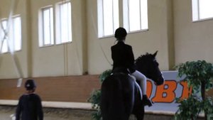 Котельники. Инфо. Фестиваль Золотая Осень 2017