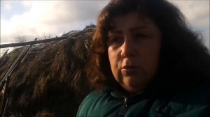 Не люблю романовких овец Эдельбаи нравятся