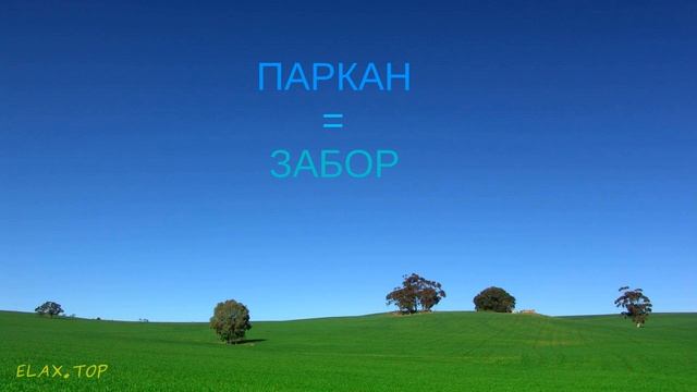 Украинско-русский тренажёр. 1000 самых важных слов украинского и русского языков! 5 секунд на слово
