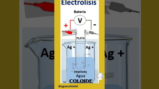 Electrolisis - Coloides смотреть онлайн