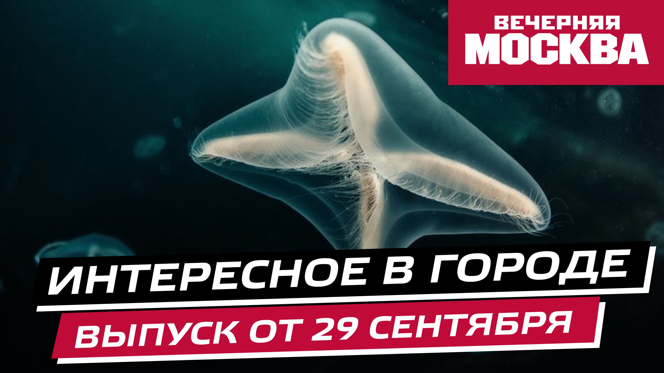 Что посмотреть и куда сходить на выходных в Москве? // Интересное в городе
