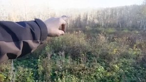 ПОВАЛИЛИСЬ МОНЕТЫ, КОГДА КОПНУЛ ЛОПАТОЙ. Коп поиск монет 2023