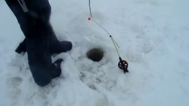 судак на тюльку видео смотреть онлайн