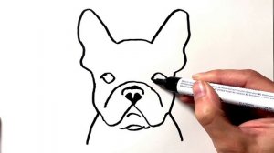 How to Draw a French Bulldog