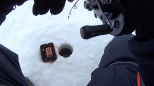 Ловля судака зимой на Обском море