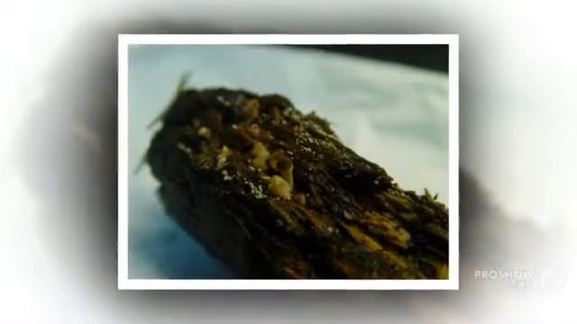 Undetermined - fungi kingdom смотреть онлайн