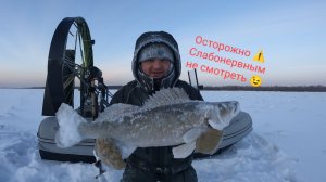 Только опустил РАТЛИН и сразу ТРОФЕЙ!!! Зимняя рыбалка на реке Обь