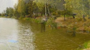 Форелевая рыбалка в Наро-Фоминске 25 сентября 2021