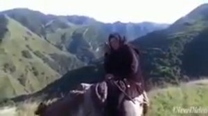 Осел и бабушка