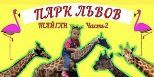 Катя в ПАРКЕ ЛЬВОВ ТАЙГАН! Lion park Taigan часть2  Детское видео