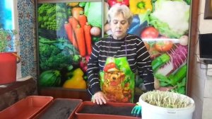 ЕЩЕ РАЗ О ПОДГОТОВКЕ ГРУНТА. Ольга Чернова.