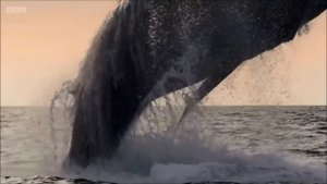 Kepler 452 B ||PLANET SIMILAR TO EARTH||Latestly discoverd