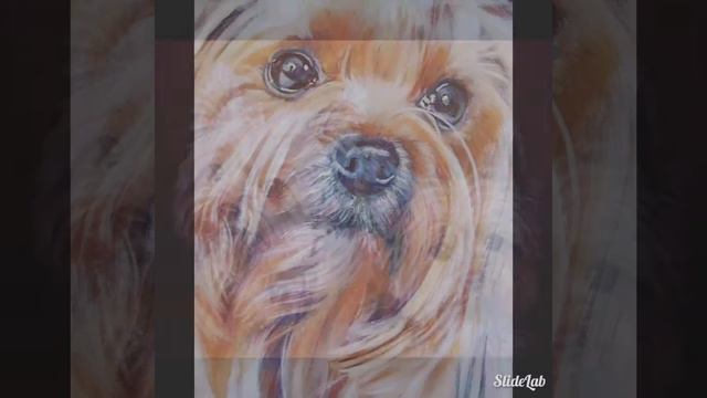 Очень красивые рисунки !!! смотреть онлайн