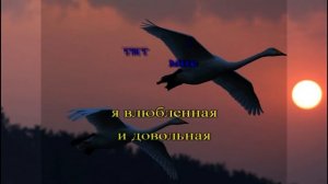 Лебеди   Яна БЕРД    КАРАОКЕ