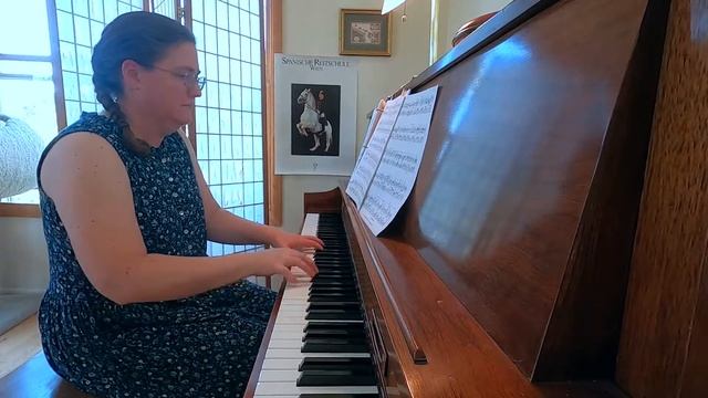 Sky Music: Johann Strauss, "Vienna Life" waltz (Piano) смотреть онлайн