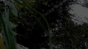 Засечный бой: честный путь к силе