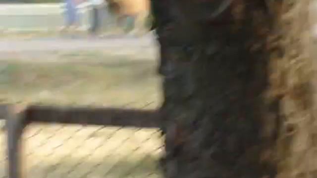 2 ровшан джамшут смотреть онлайн