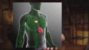 Проект BIOMACHINE: Полезное знание о твоей лимфатической системе