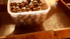 Инкубация перепелиных яиц(Техасского перепела),(Ч.1)