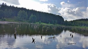 Рыбалка на щуку в коряжнике, рыбалка на спиннинг