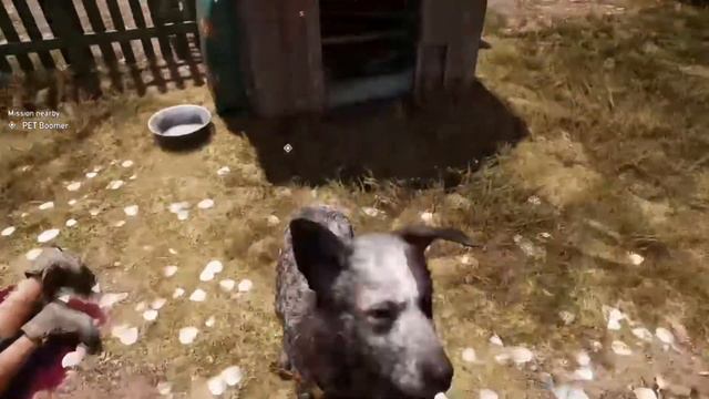 Far Cry 5: How to Get Boomer (The Dog) смотреть онлайн