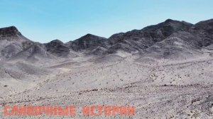 Жена ушла к молодому любовнику забрав все деньги, а когда вернулась назад, её ждал сюрприз...