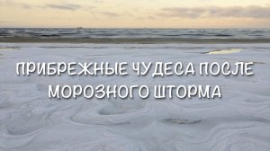 Прибрежные чудеса после морозного шторма