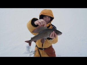 Где и как ловить Хариуса зимой