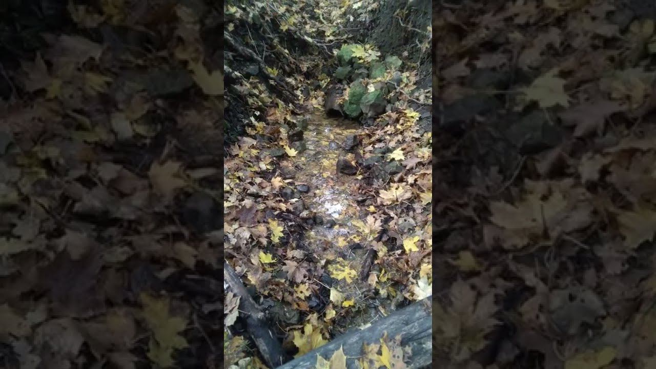 На роднике в Смирновском ущелье)