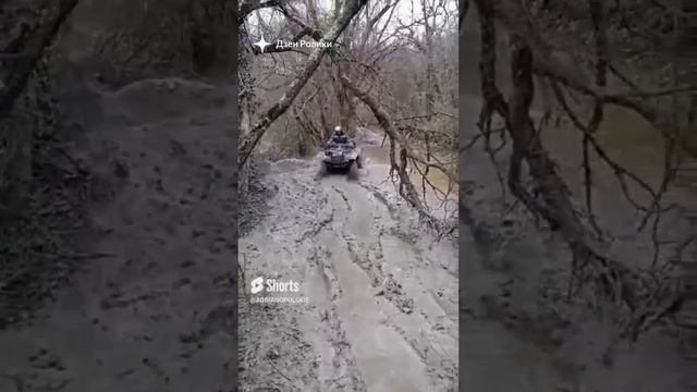 Квадро гонки в грязи