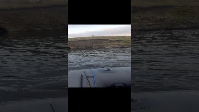 Ириклинское вдхр. Оренбургская обл.