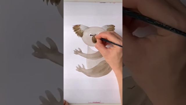 Как нарисовать коалу. Рисуем коалу поэтапно. Урок рисования для детей./ How to draw coala easy.