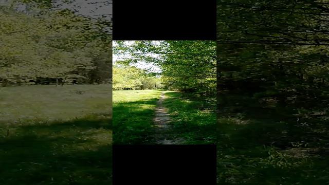 Гуляем по красивым лесам по зелёным лугам. Прогулка на природе за городом в Подмосковье в мае. Ч.9