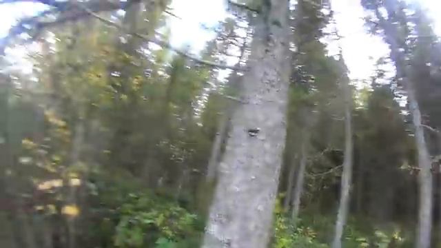 ? Охота и рыбалка осень 2017 (поездка в лес) смотреть онлайн