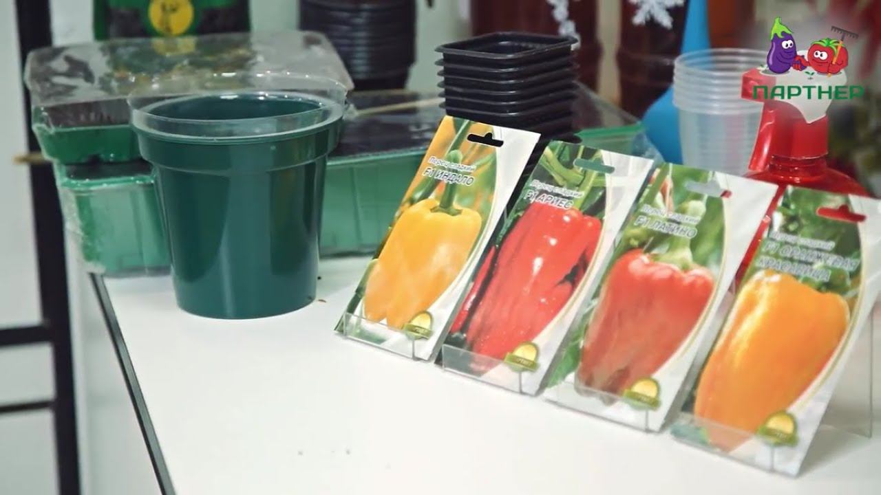 Как вырастить рассаду перца. Часть 1. смотреть онлайн