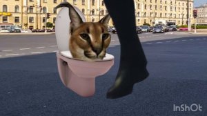 скибиди Шлёпа 3