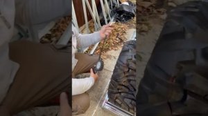 Мой квадроцикл TGB Blade 1000 Premium Готовлю под проект!