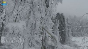 Зима.4k Video Ultra HD Relaxing Music - Beautiful ambient Music For Stress Relief, Meditation