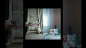 •ДРАКОНЫ С ТИК ТОК•|☬ИНТЕРЕСНО ЕСТЬ СДЕСЬ ВАШ ЛЮБИМЫЙ ДРАКОНЕР?☬