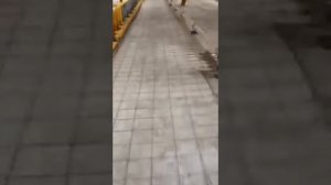 Подача бетона насосом с трассой 180 м