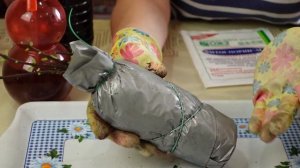 Как вырастить такие роскошные гортензии/  Как разбудить гортензию из подвала