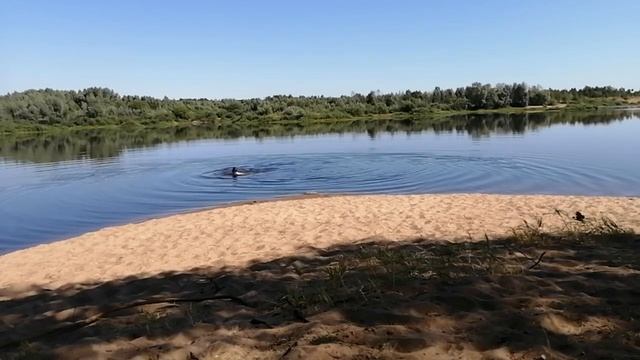 Эх...Рыбалочка...Рыбалка(Классная песня).mp4