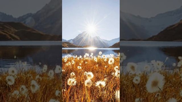 #Бог #Душа #Мир Мир как простор для Творчества смотреть онлайн