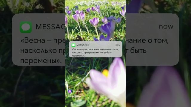 Весна прекрасное напоминание... смотреть онлайн