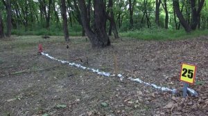 "Новости УСВУ", 96-й выпуск