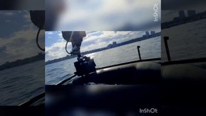 Рыбалка на ставриду. Сход акулы (катрана).Чёрное море не перестаёт радовать.